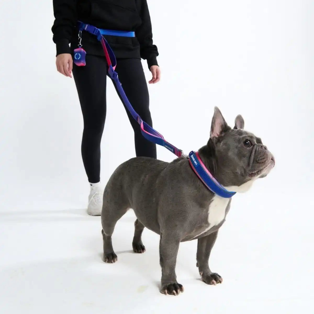 Multipurpose Seatbelt Handsfree Leash & Poop Bag Holder Set - Snow Cone