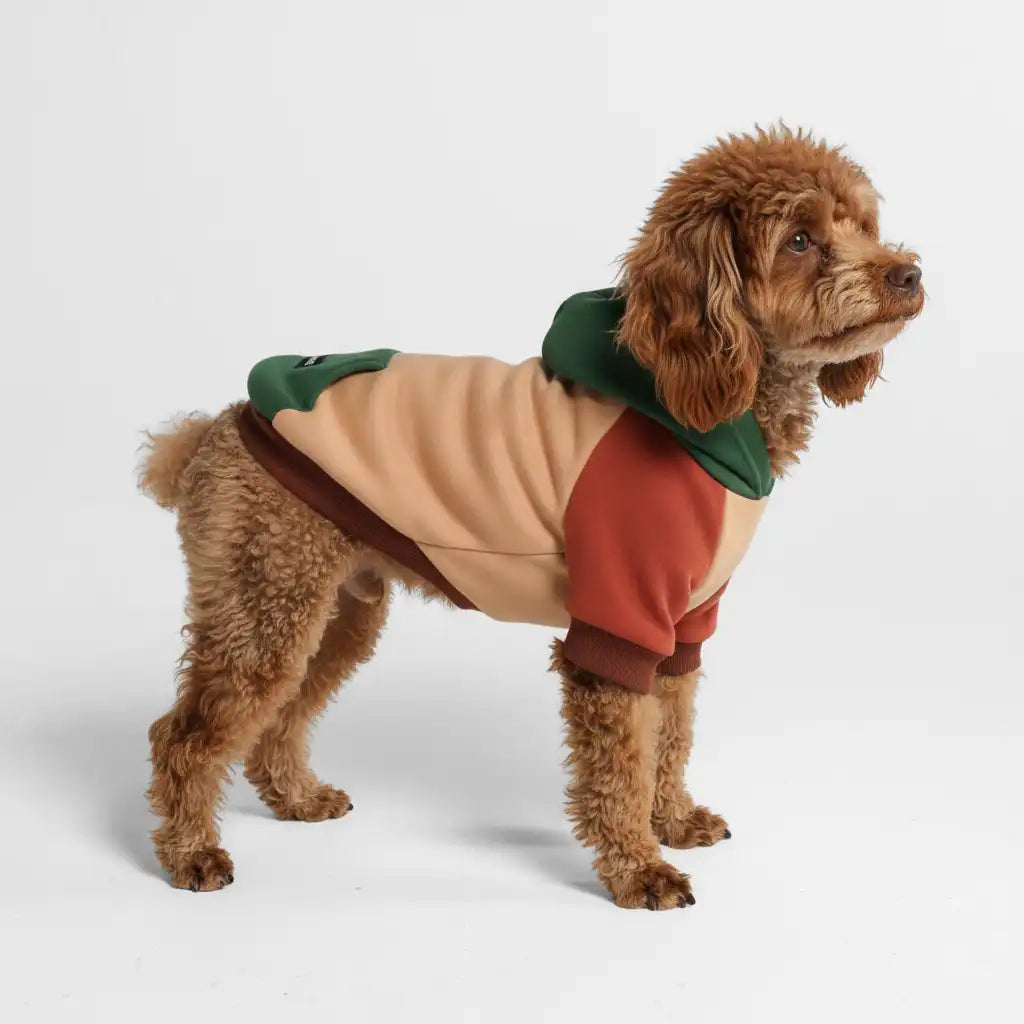 Ranger Dog Hoodie