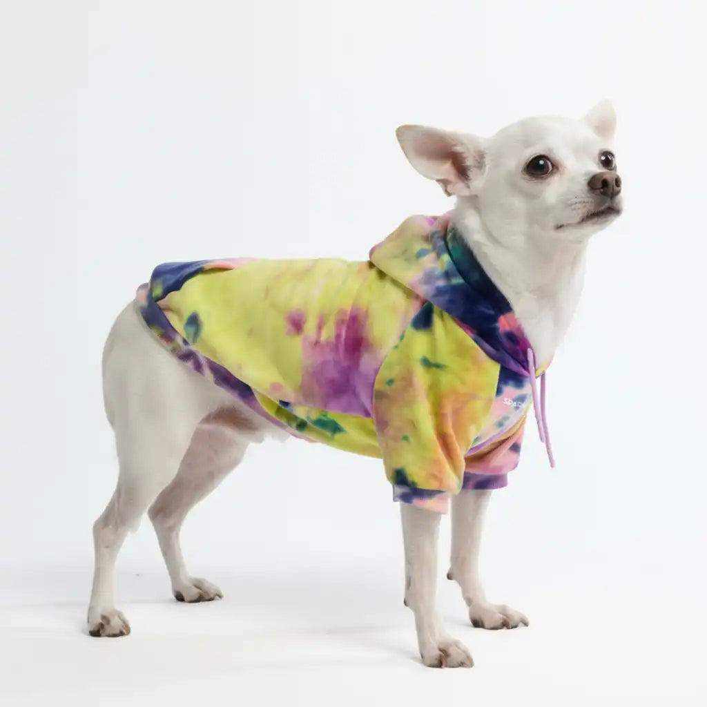 Velvet Dog Hoodie - Berry Lemonade