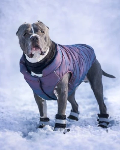 Warm Winter Coats