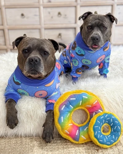 Pajamas & Recovery Suits