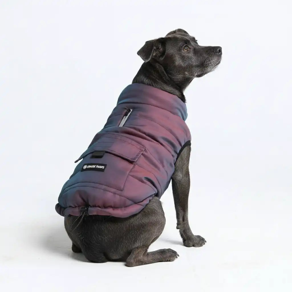 WarmShield Water-Resistant Jacket - Cosmic