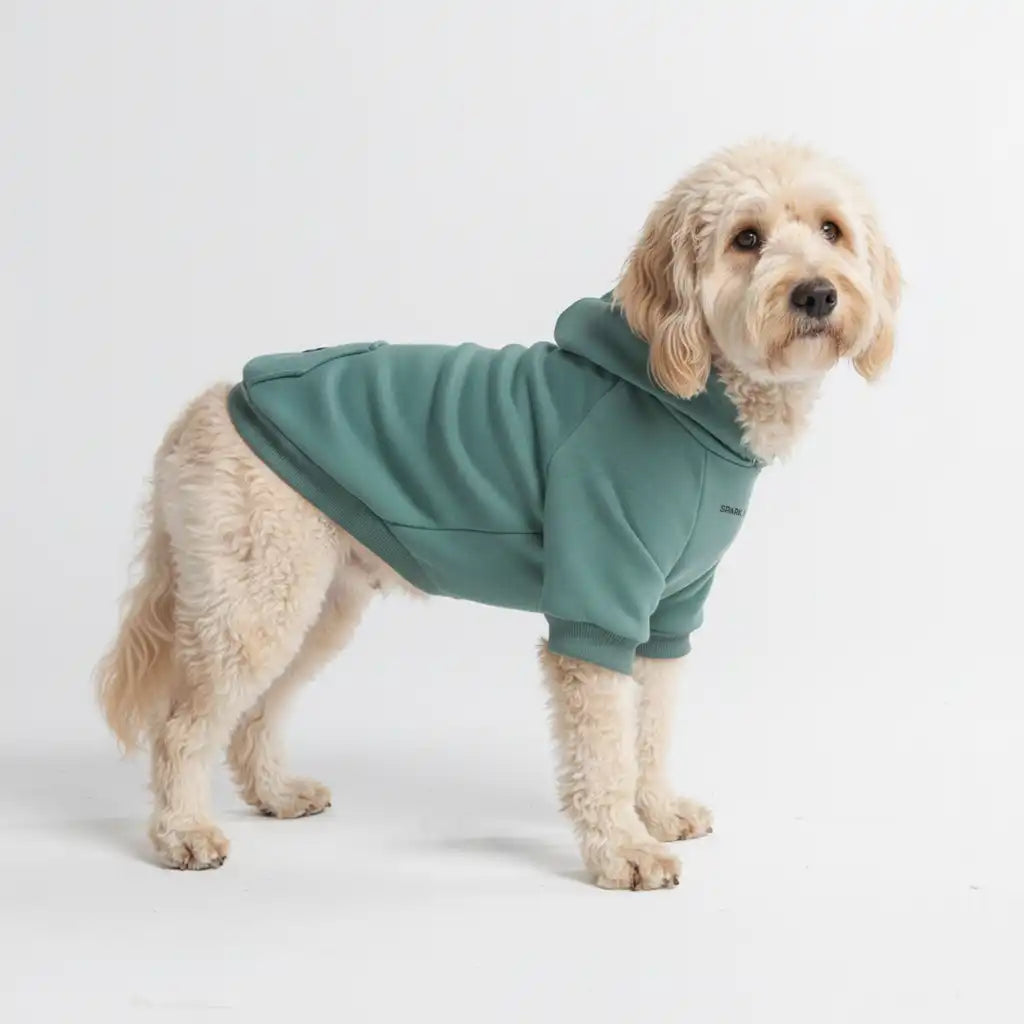 Essential Dog Hoodie - Teal