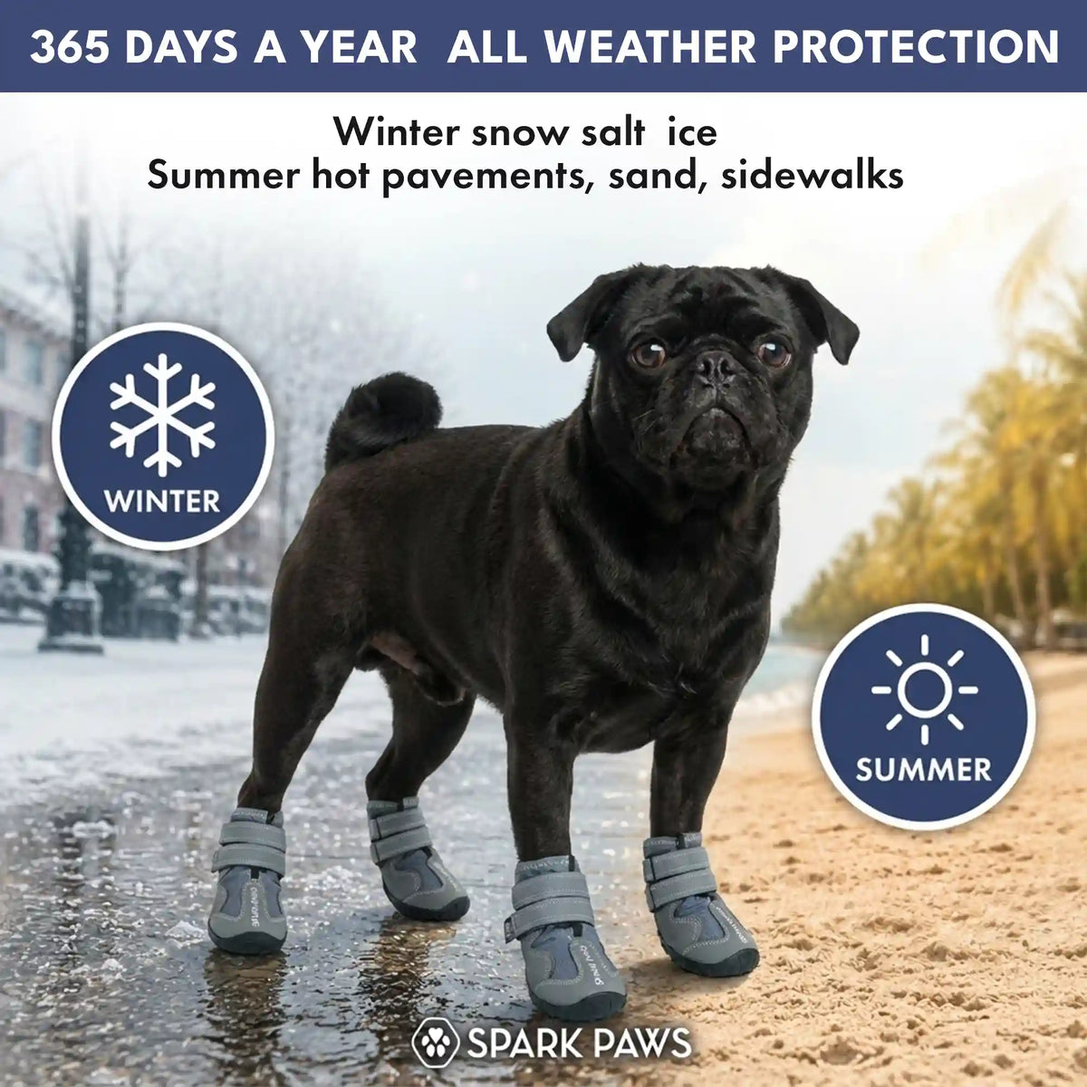 365 All-Season Dog Shoe 4PC Set - Grey
