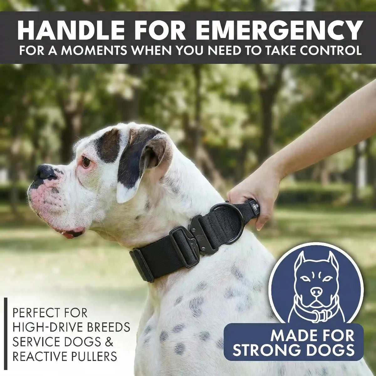 Comfort Control Collar and Multipurpose Leash Set - Black