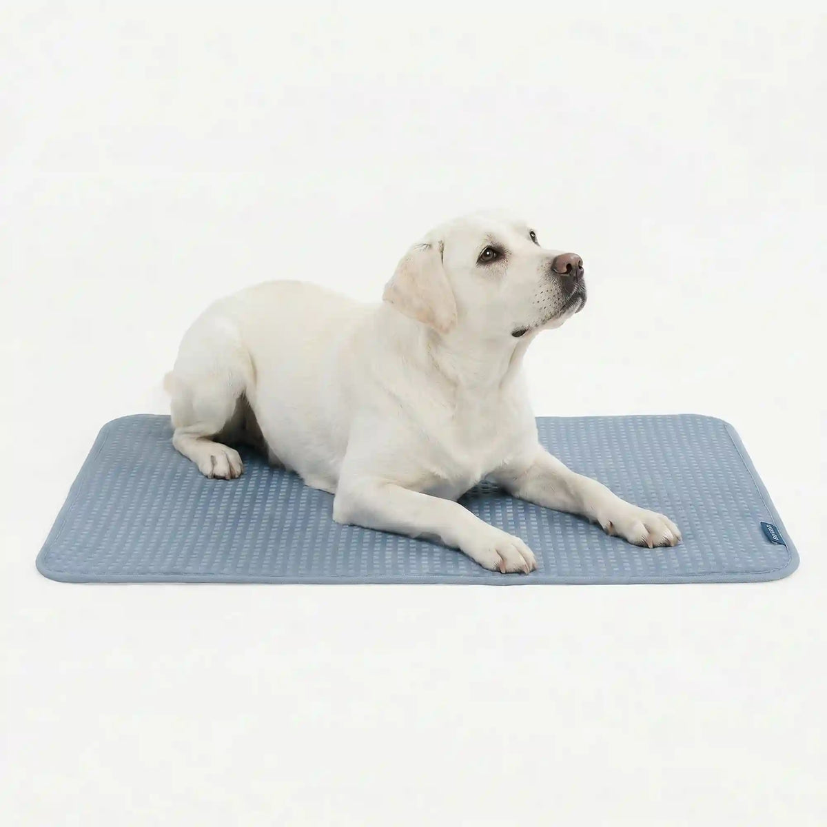 Frostcore™ Cooling Mat - Waffle Ash Blue
