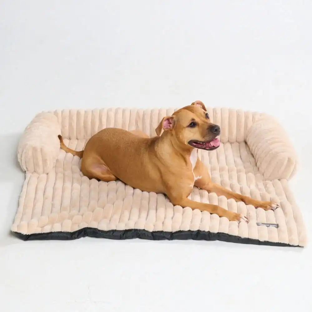 Luxury Couch Cover Dog Bed - Beige