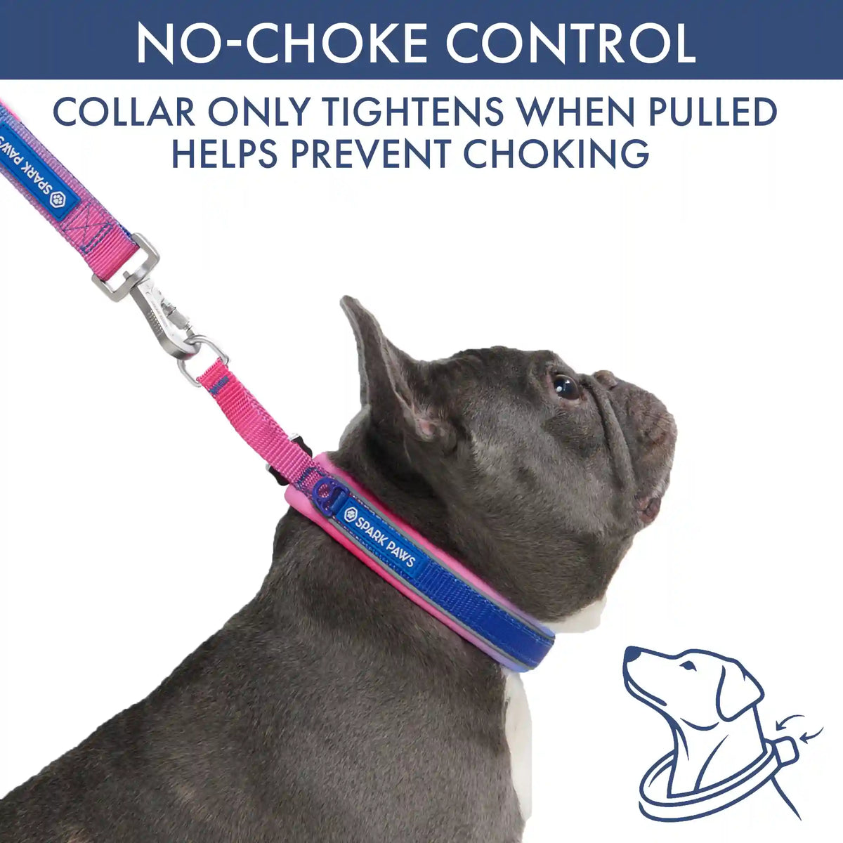 Martingale Collar Set - Snow Cone
