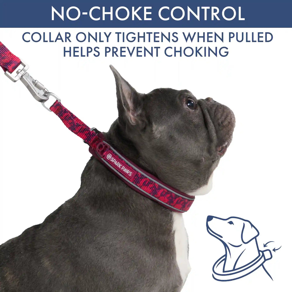 Martingale Collar Set - Fuchsia Camo