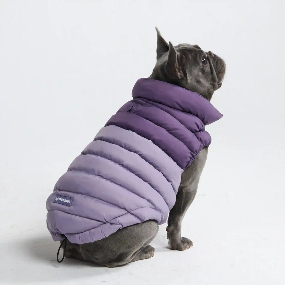 PuffShield Winter Jackets