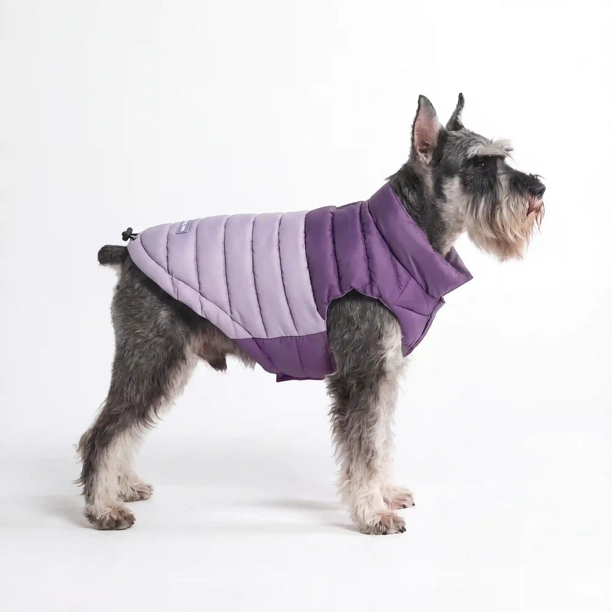 PuffShield Winter Jackets