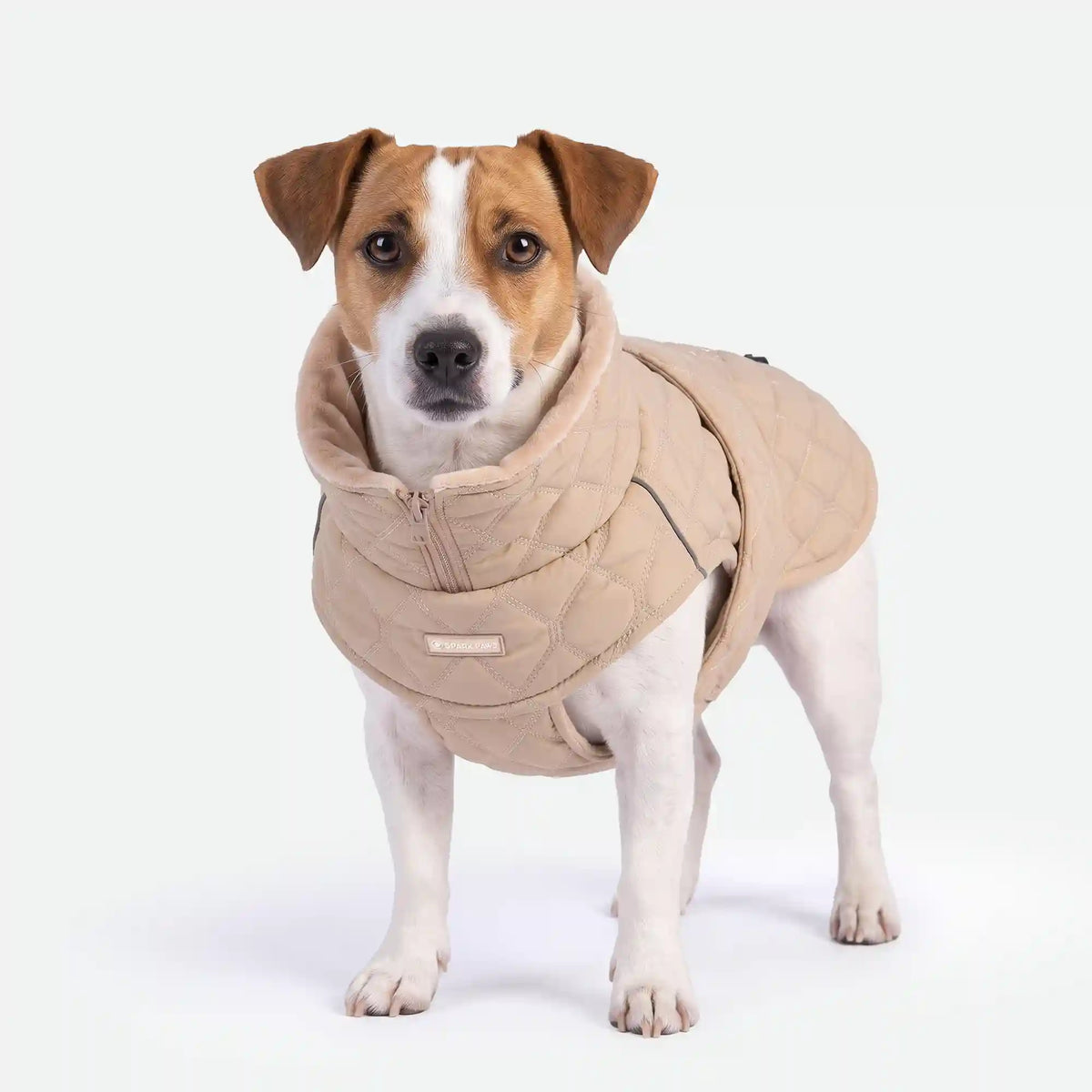 Quilted Classic Winter Coat - Beige