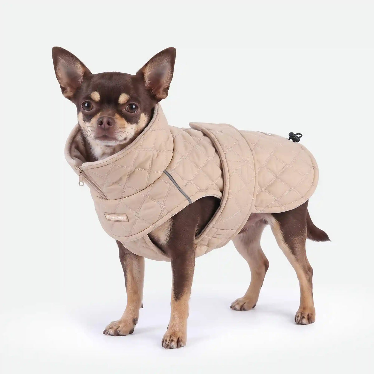 Quilted Classic Winter Coat - Beige