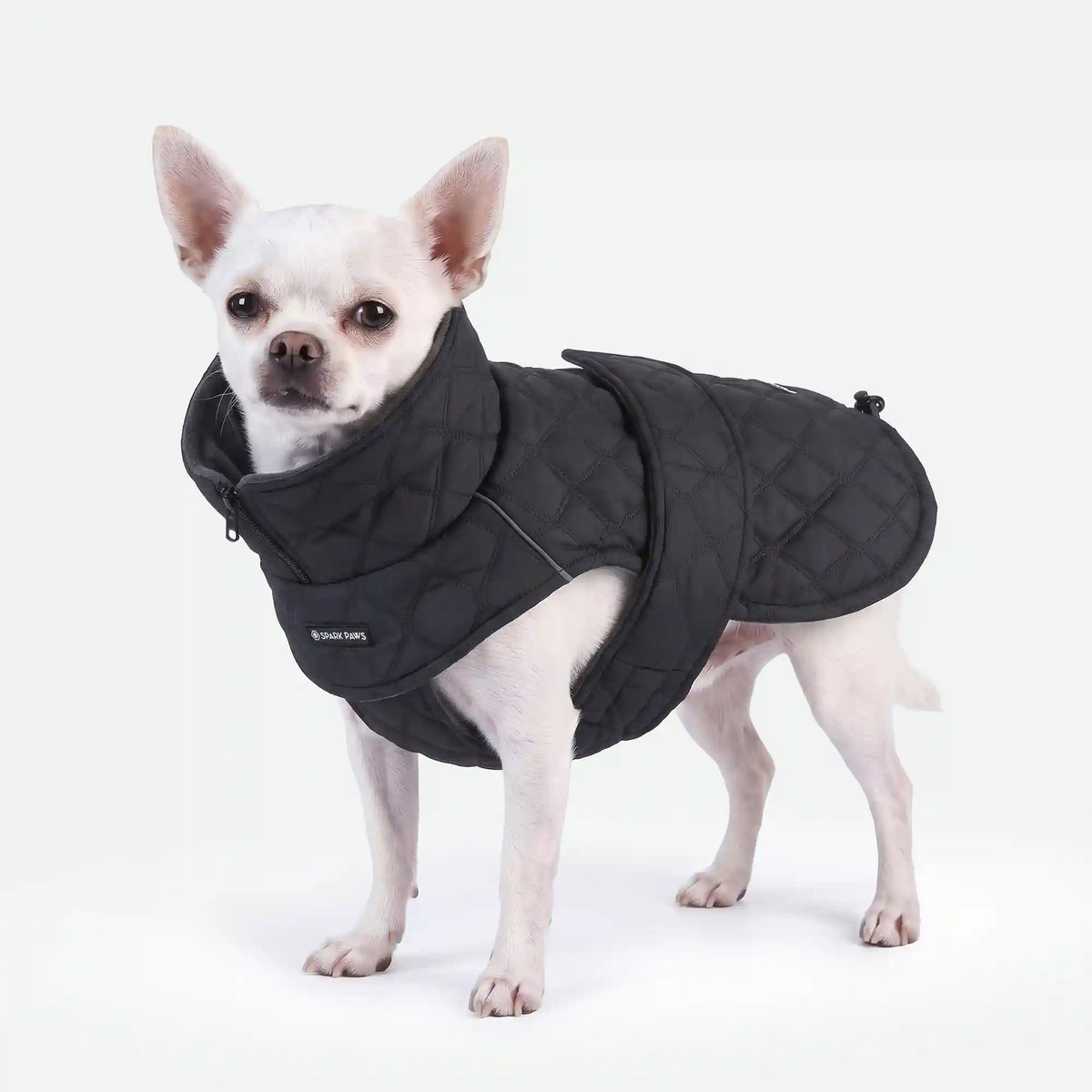 Quilted Classic Winter Coat - Black