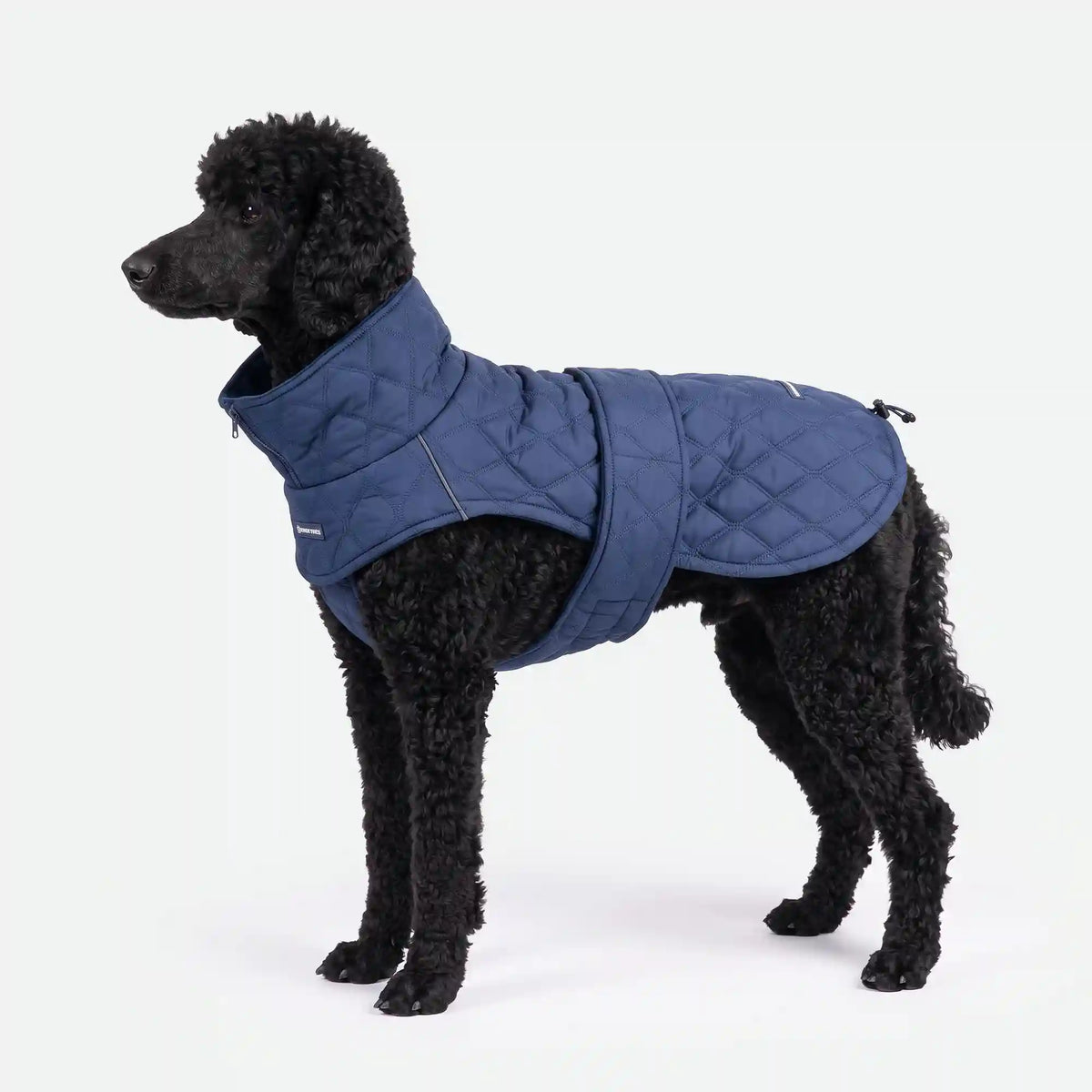 Quilted Classic Winter Coat - Blue