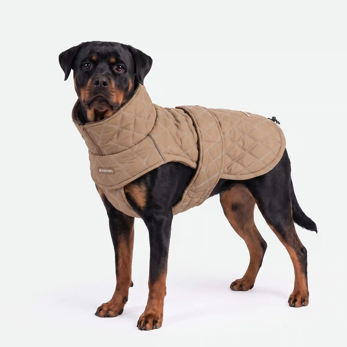 Quilted Classic Winter Coats