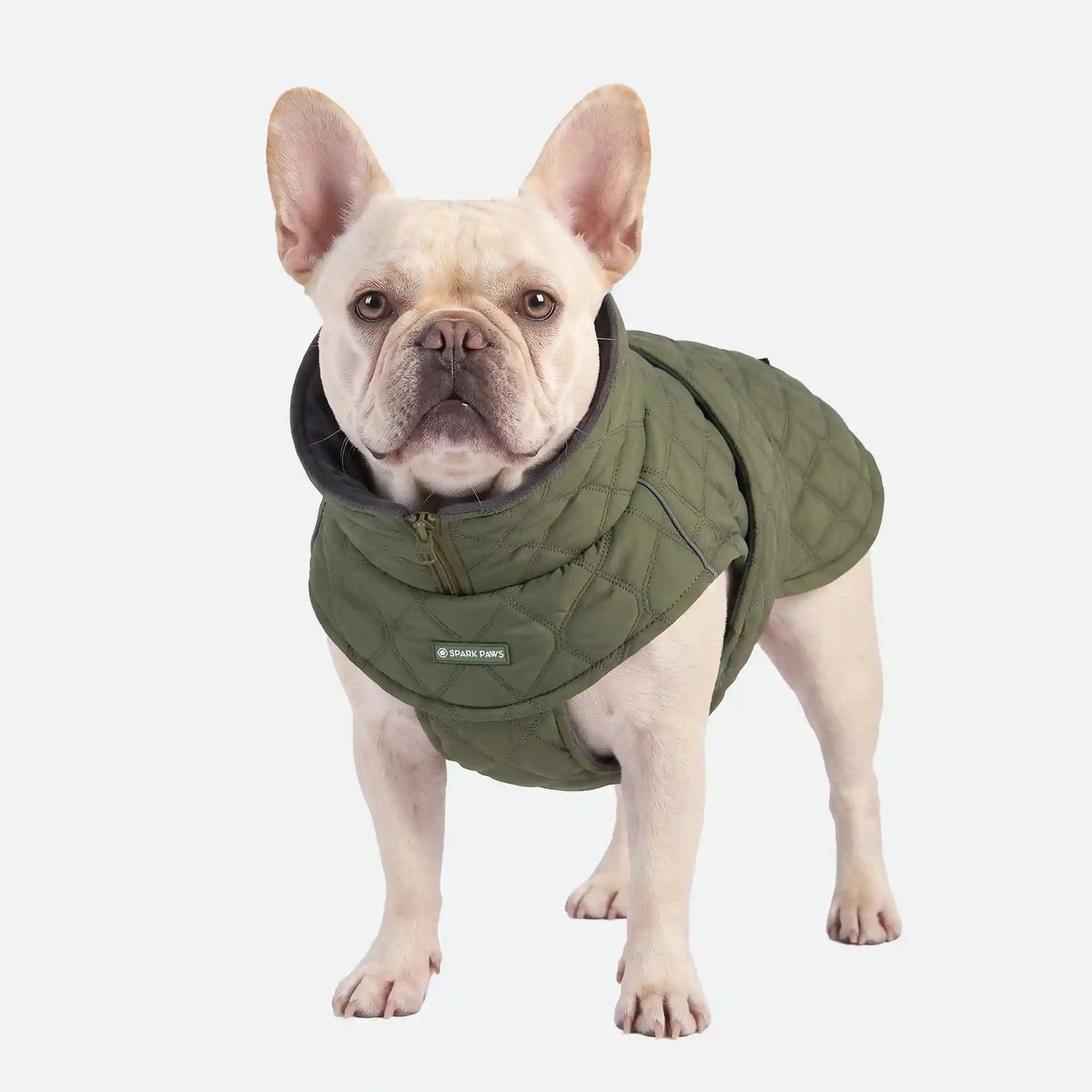 Quilted Classic Winter Coat - Green