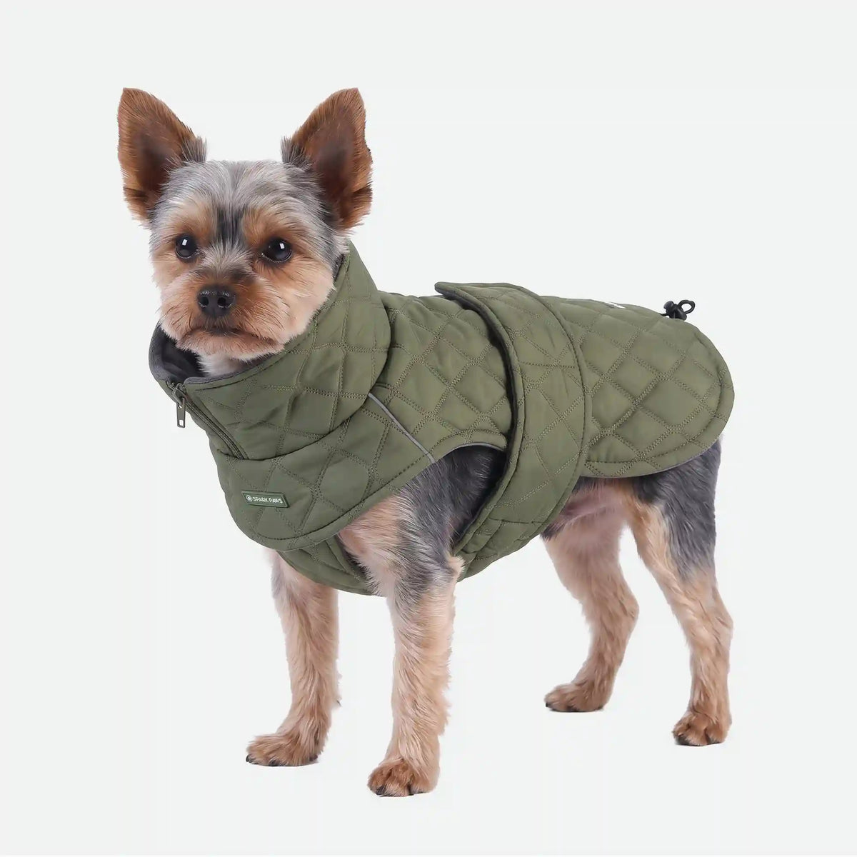 Quilted Classic Winter Coat - Green