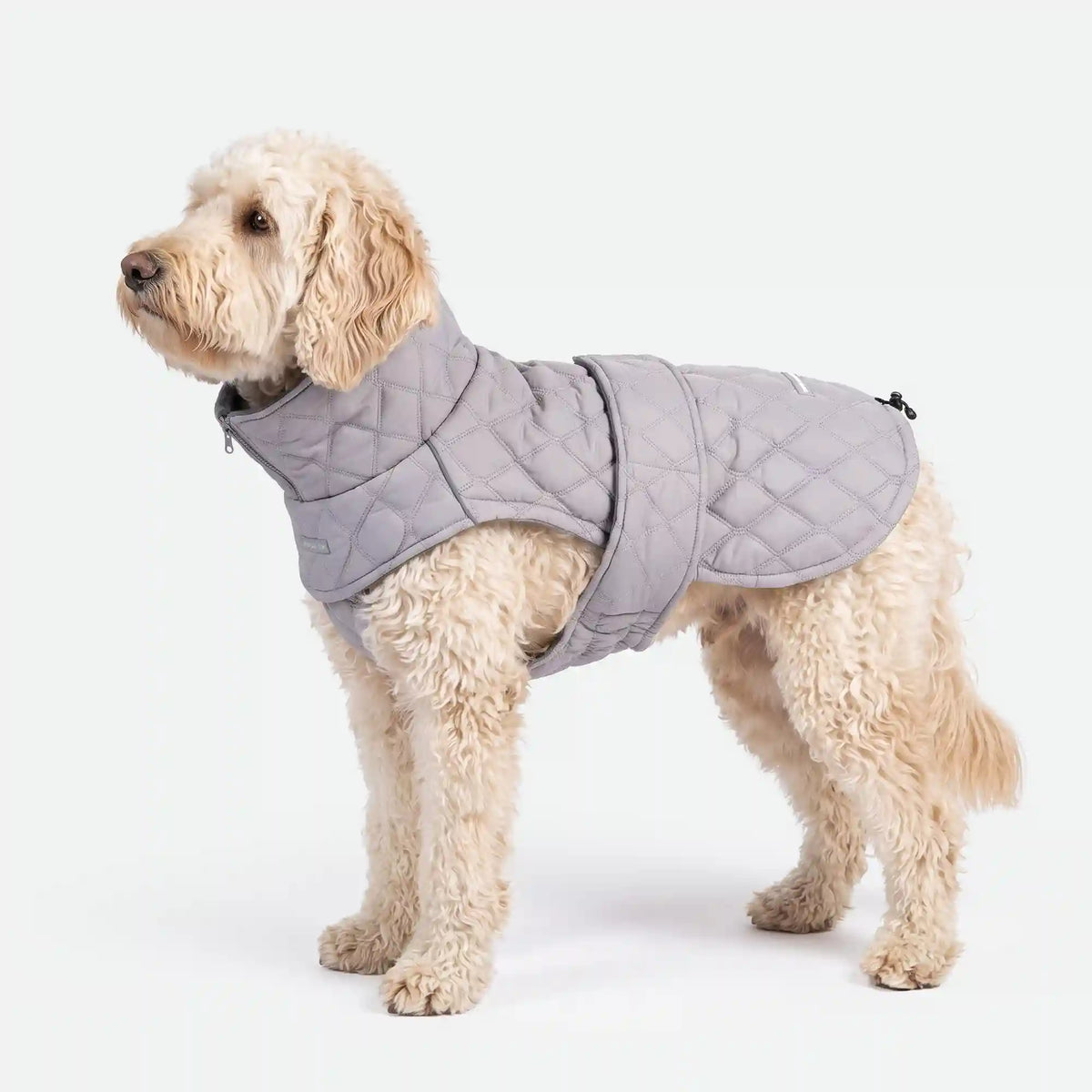 Quilted Classic Winter Coat - Grey