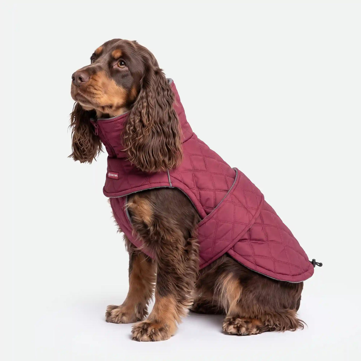 Quilted Classic Winter Coat - Red