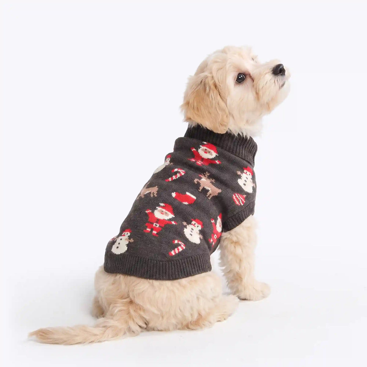 Christmas Knit Dog Sweater - Santa Clause