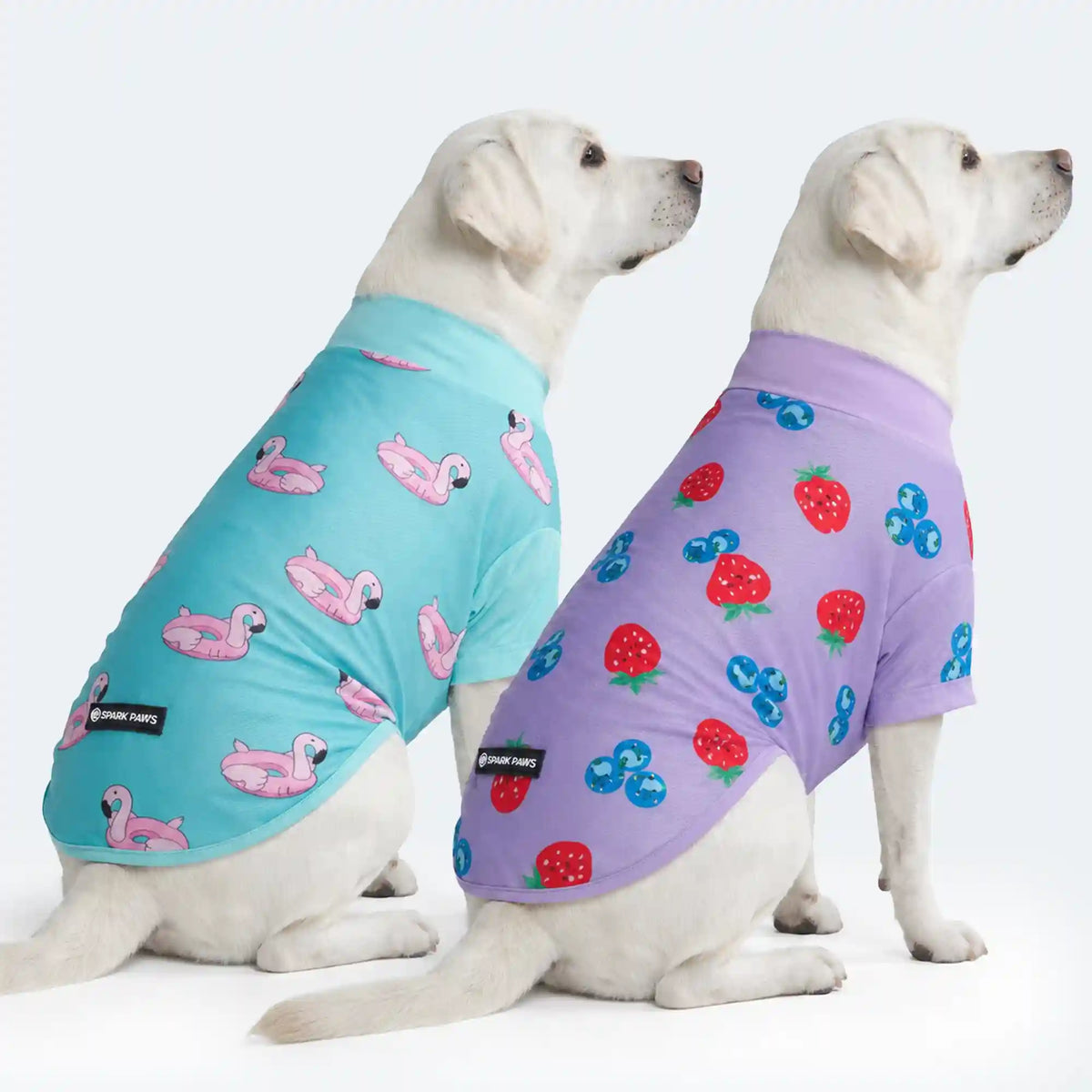 Sunblock Dog T-Shirt (2-pack) - Berries Flamingo