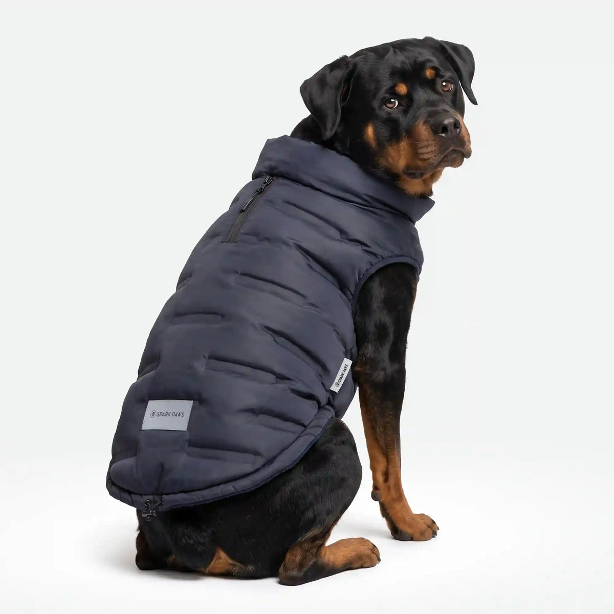 ThermoSonic Winter Jacket - Black