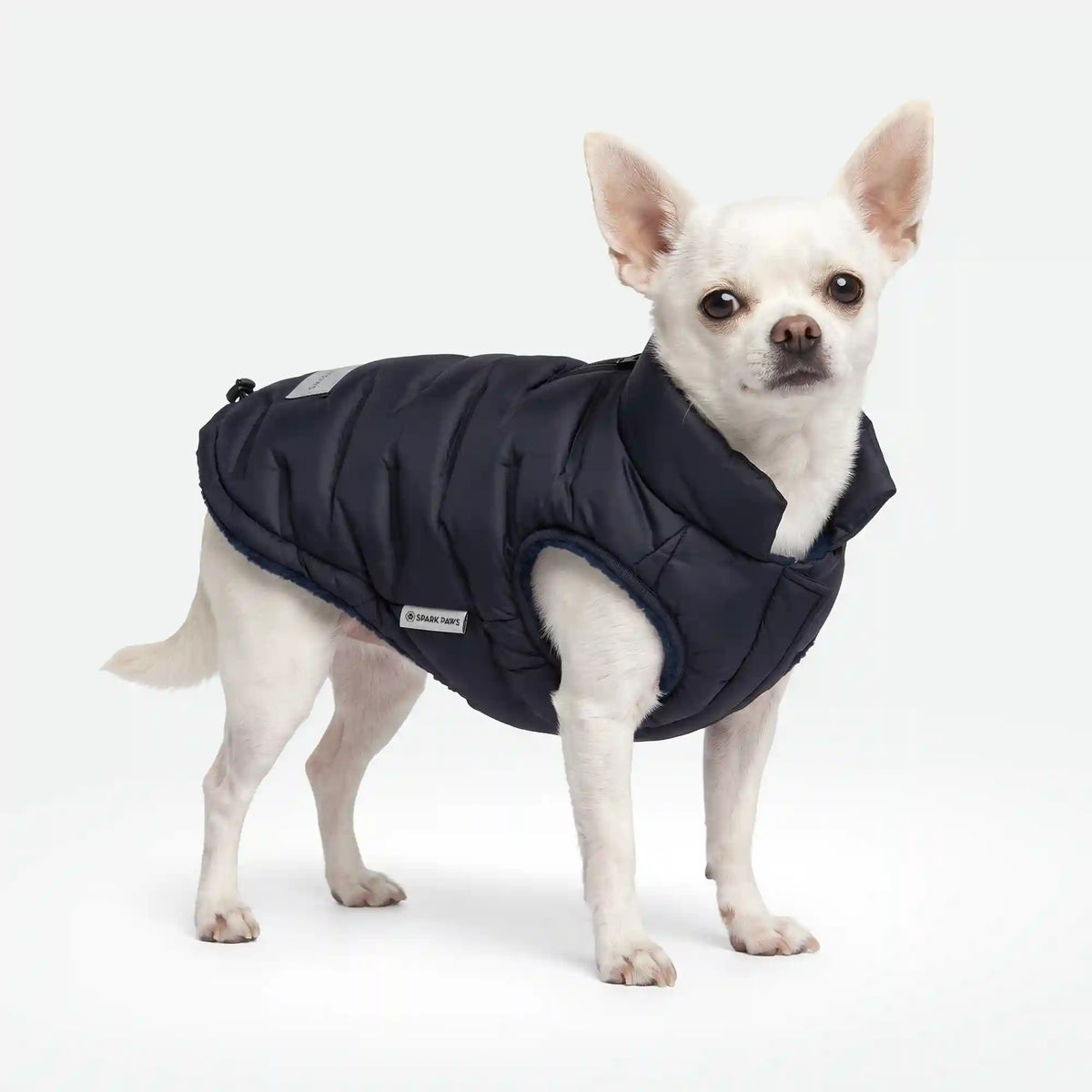 ThermoSonic Winter Jacket - Black