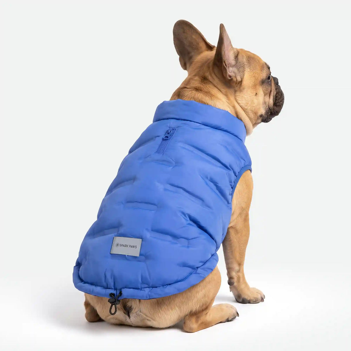 ThermoSonic Winter Jacket - Blue