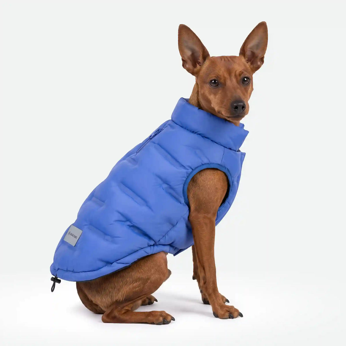 ThermoSonic Winter Jacket - Blue