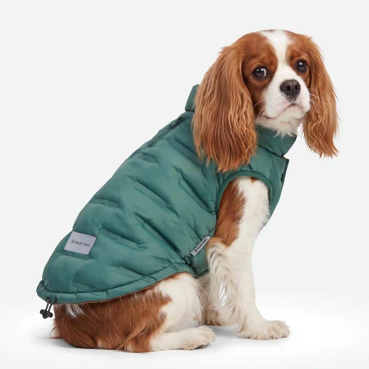 ThermoSonic Winter Jacket - Green