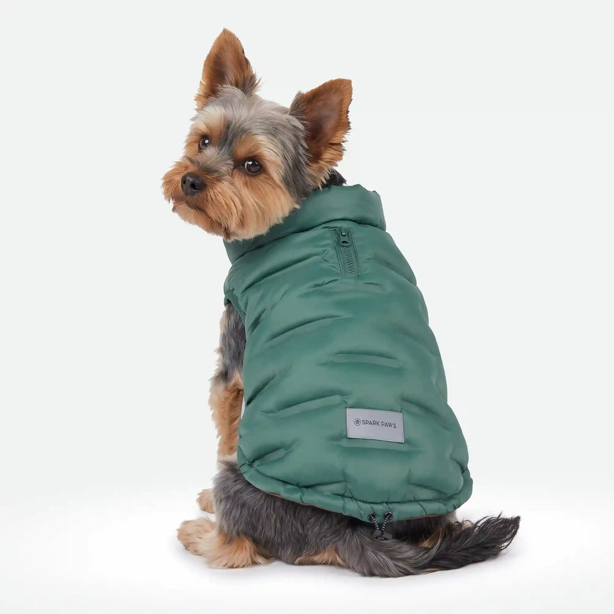 ThermoSonic Winter Jacket - Green