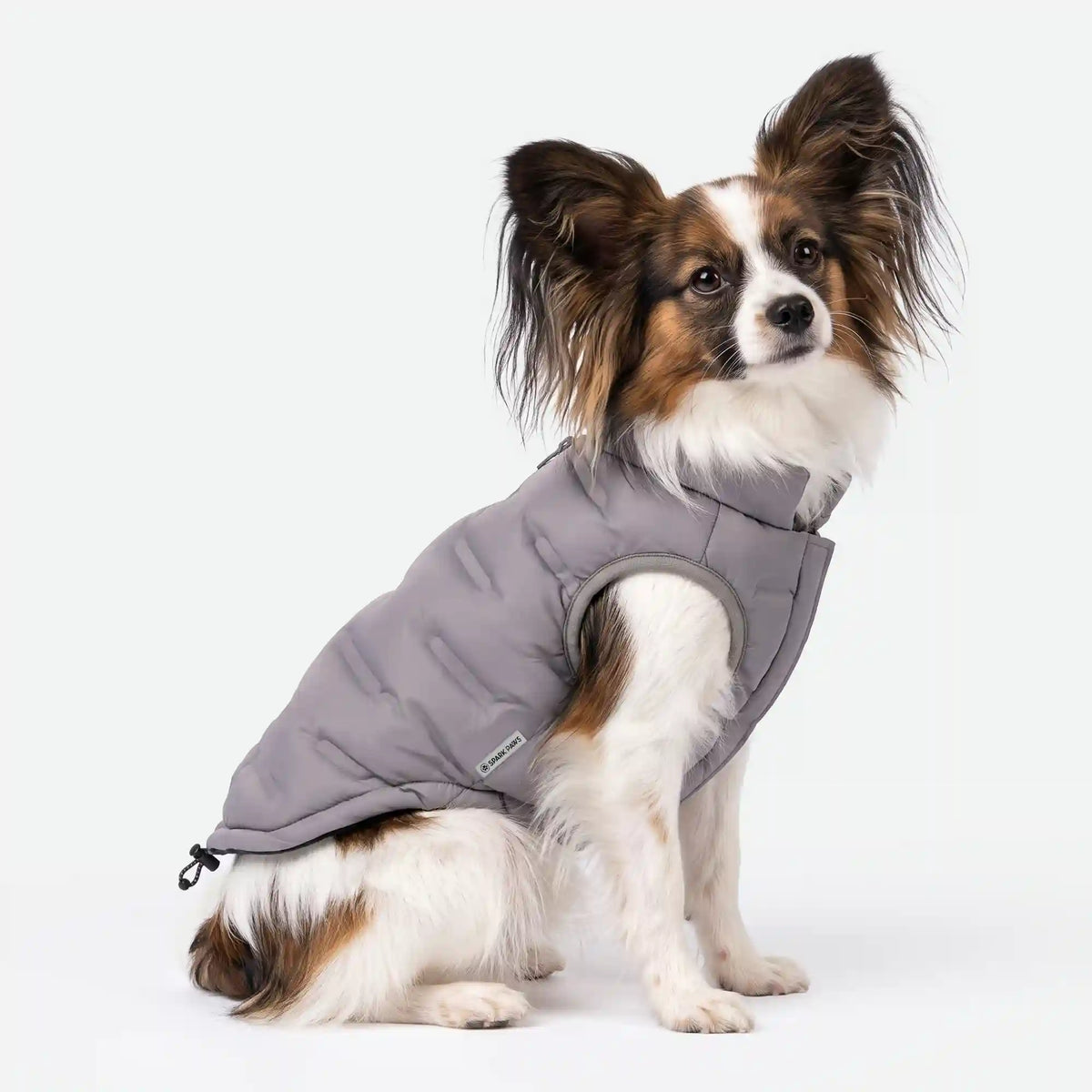 ThermoSonic Winter Jacket - Grey
