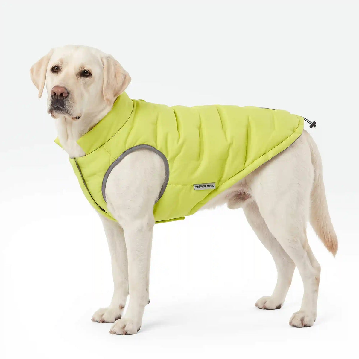 ThermoSonic Winter Jacket - Neon