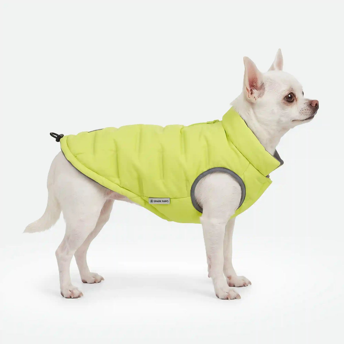 ThermoSonic Winter Jacket - Neon