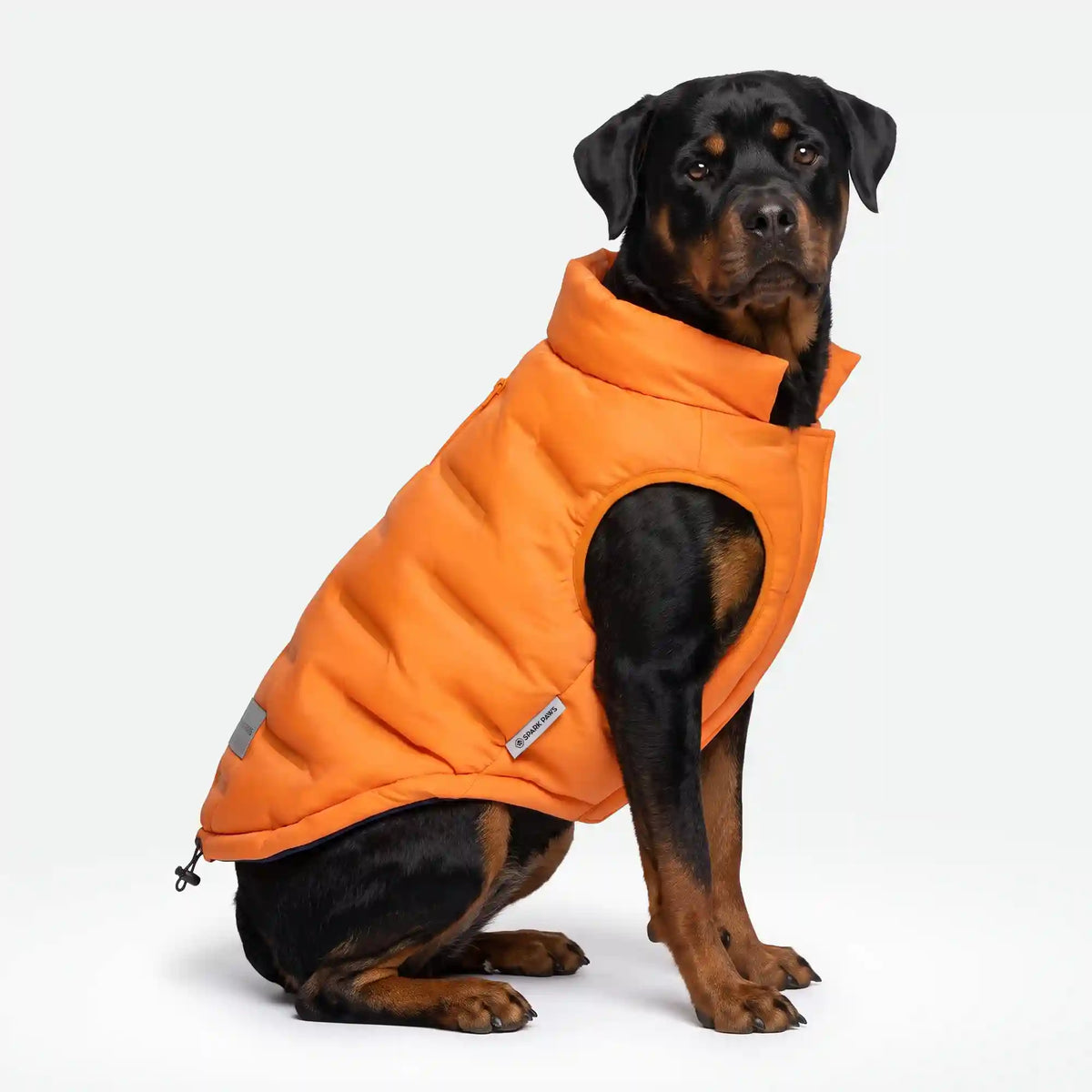 ThermoSonic Winter Jacket - Orange