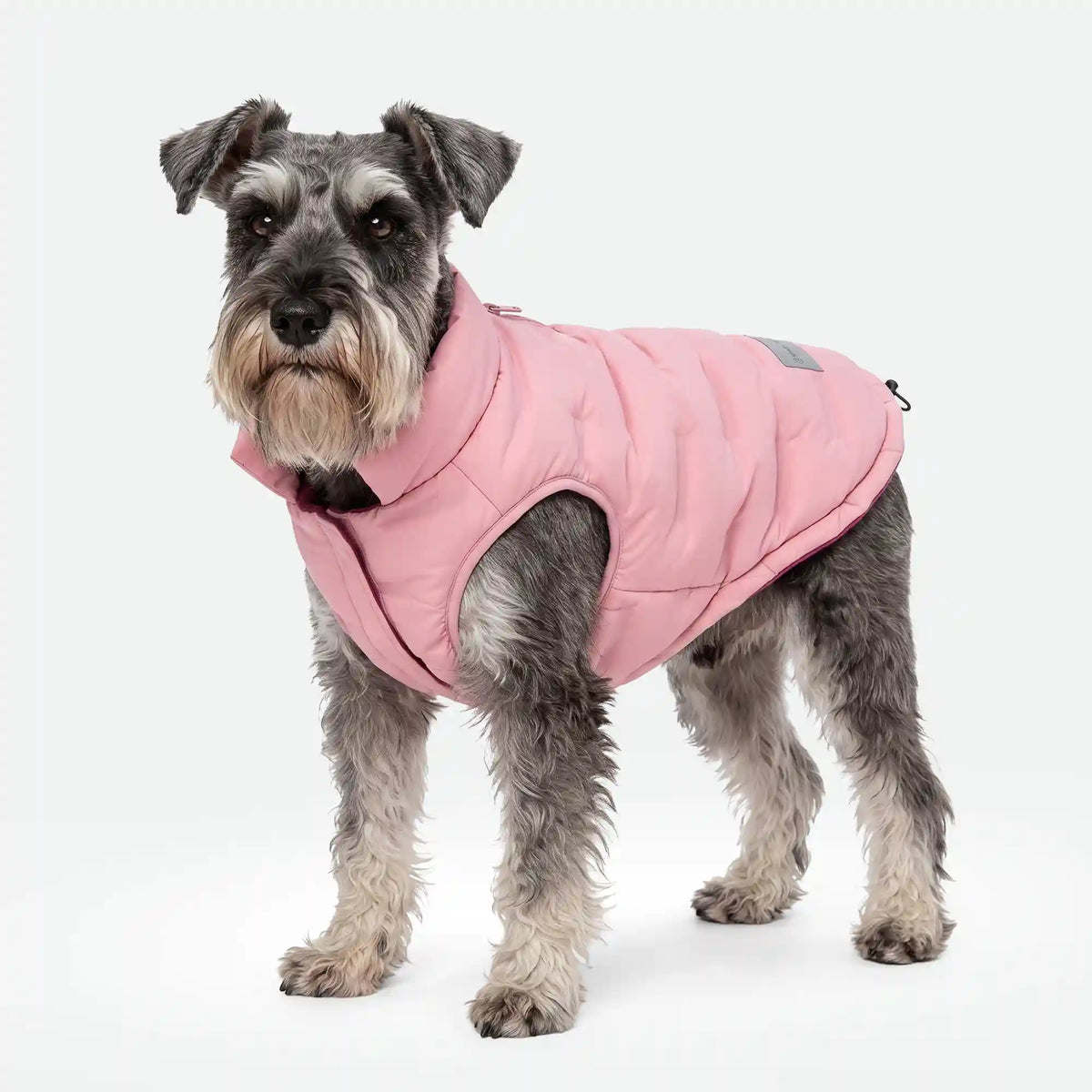 ThermoSonic Winter Jacket - Pink