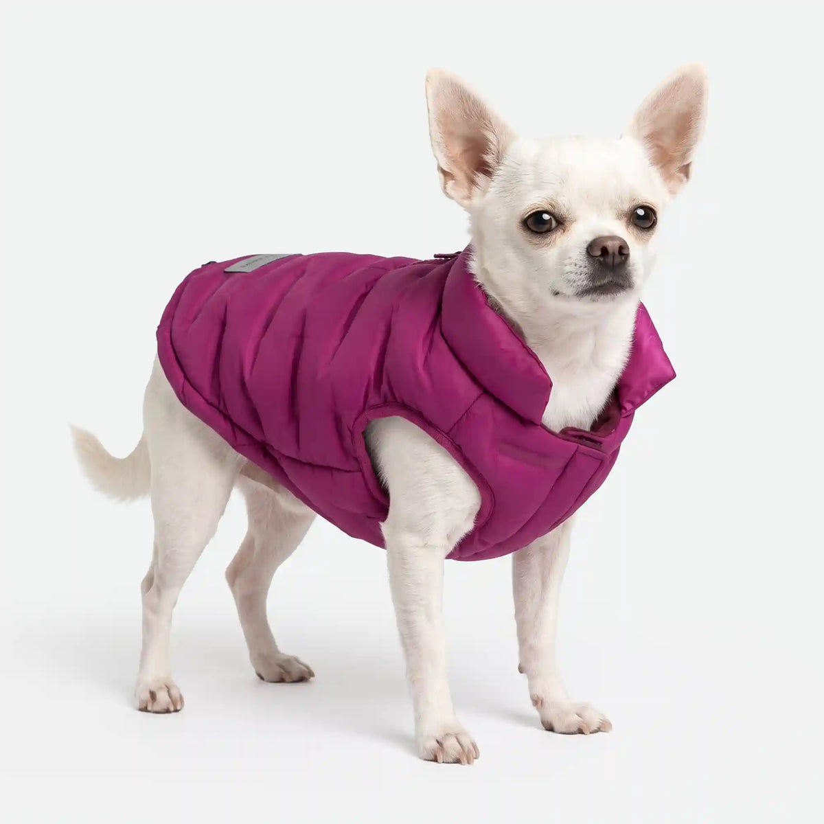 ThermoSonic Winter Jacket - Magenta