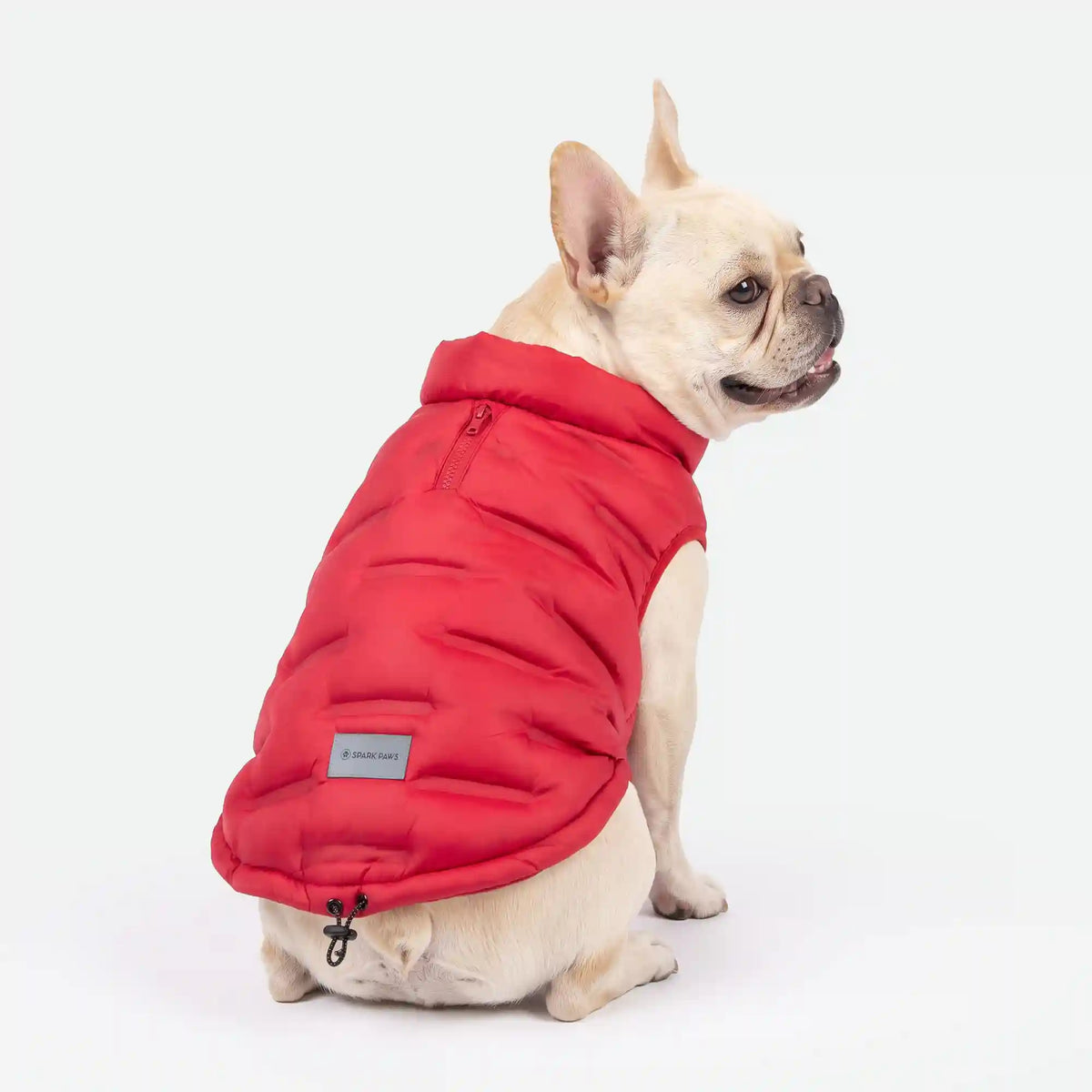 ThermoSonic Winter Jackets