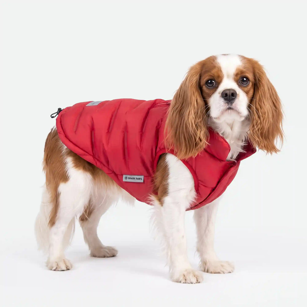 ThermoSonic Winter Jacket - Red