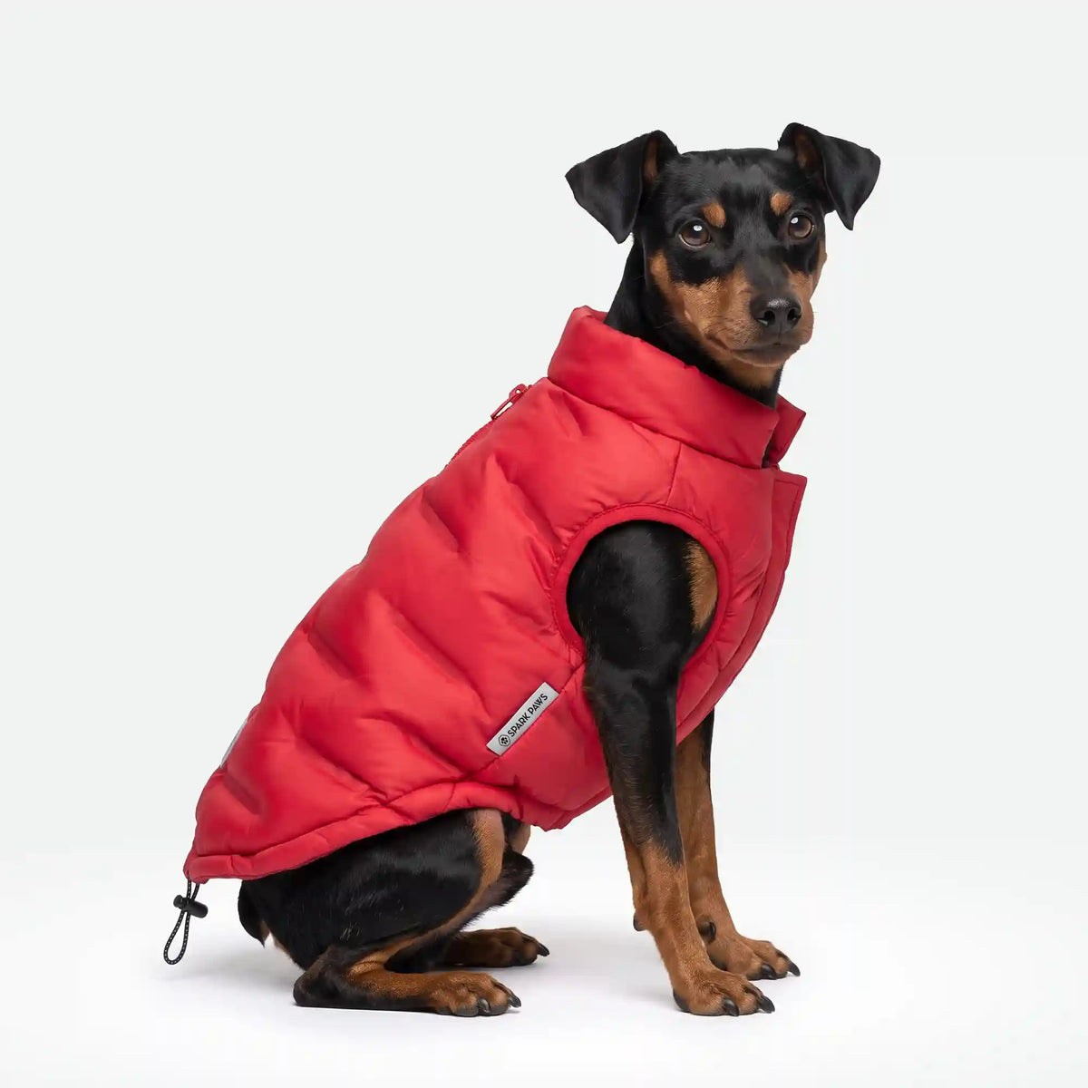 ThermoSonic Winter Jacket - Red