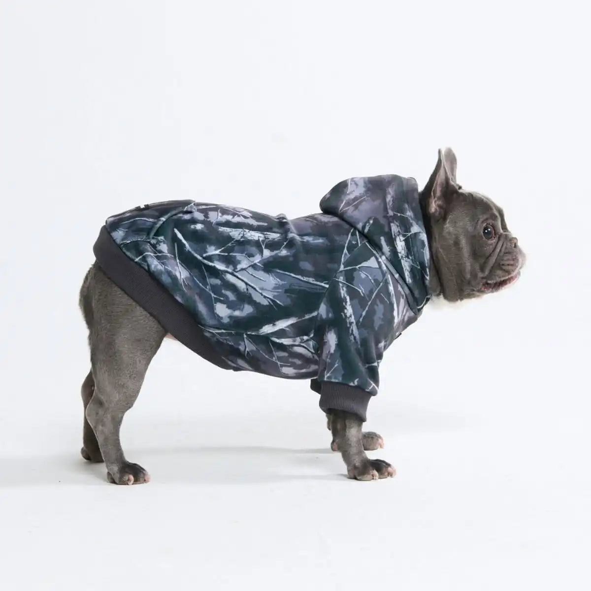 Concrete Wood Dog Hoodie - Asphalt