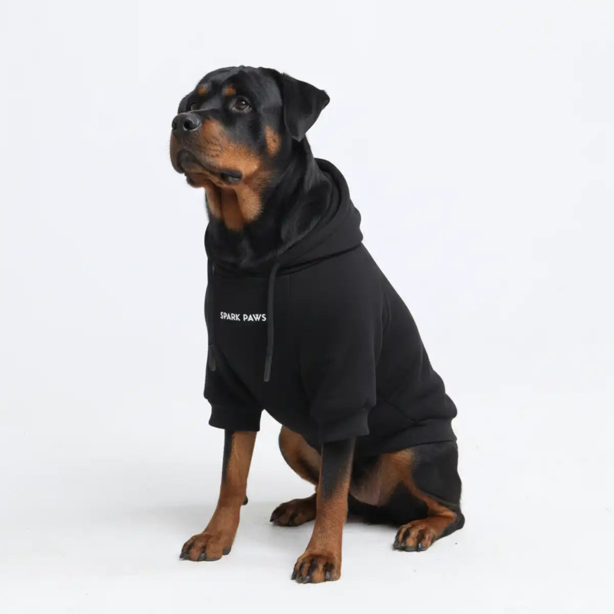 Essential Dog Hoodie - Black