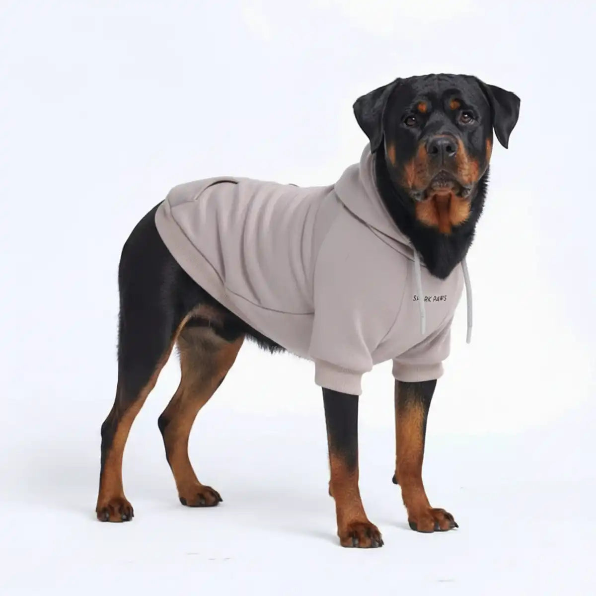 Essential Dog Hoodie - Clay