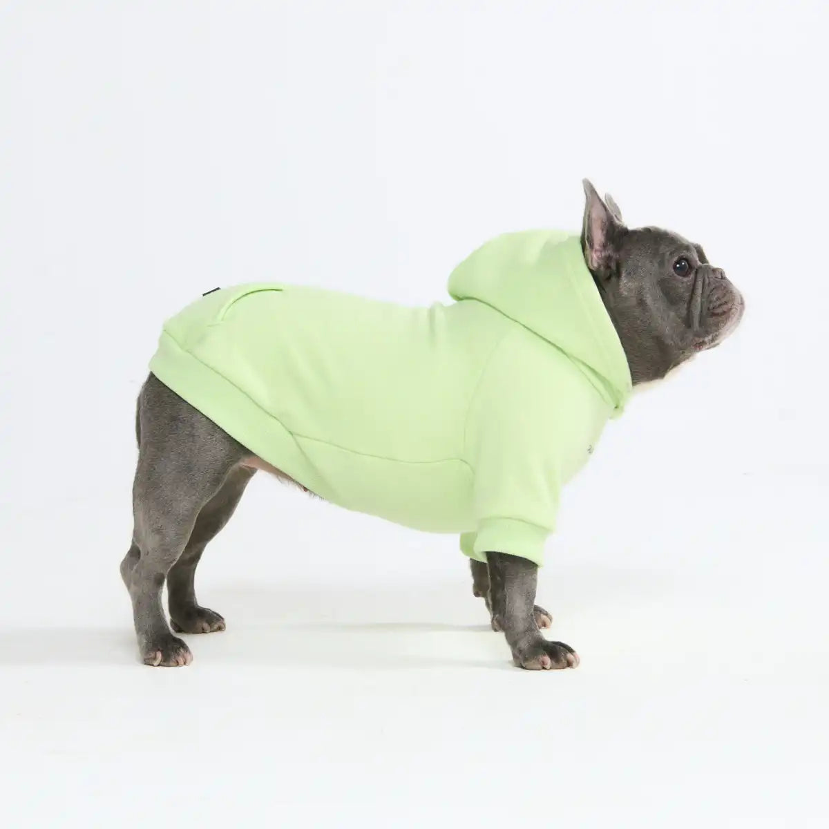 Essential Dog Hoodie - Honey Dew
