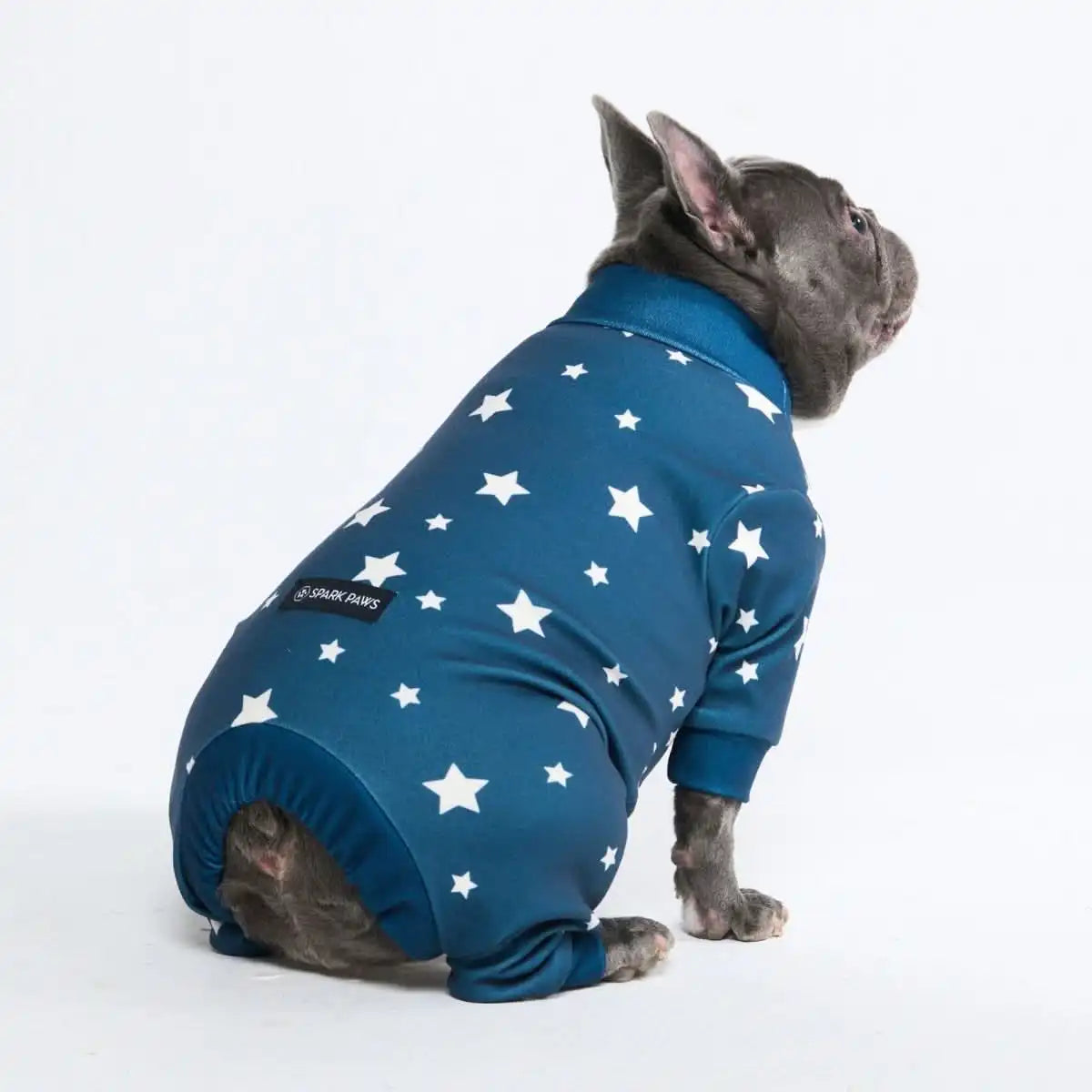 Dog Pajama - Stars