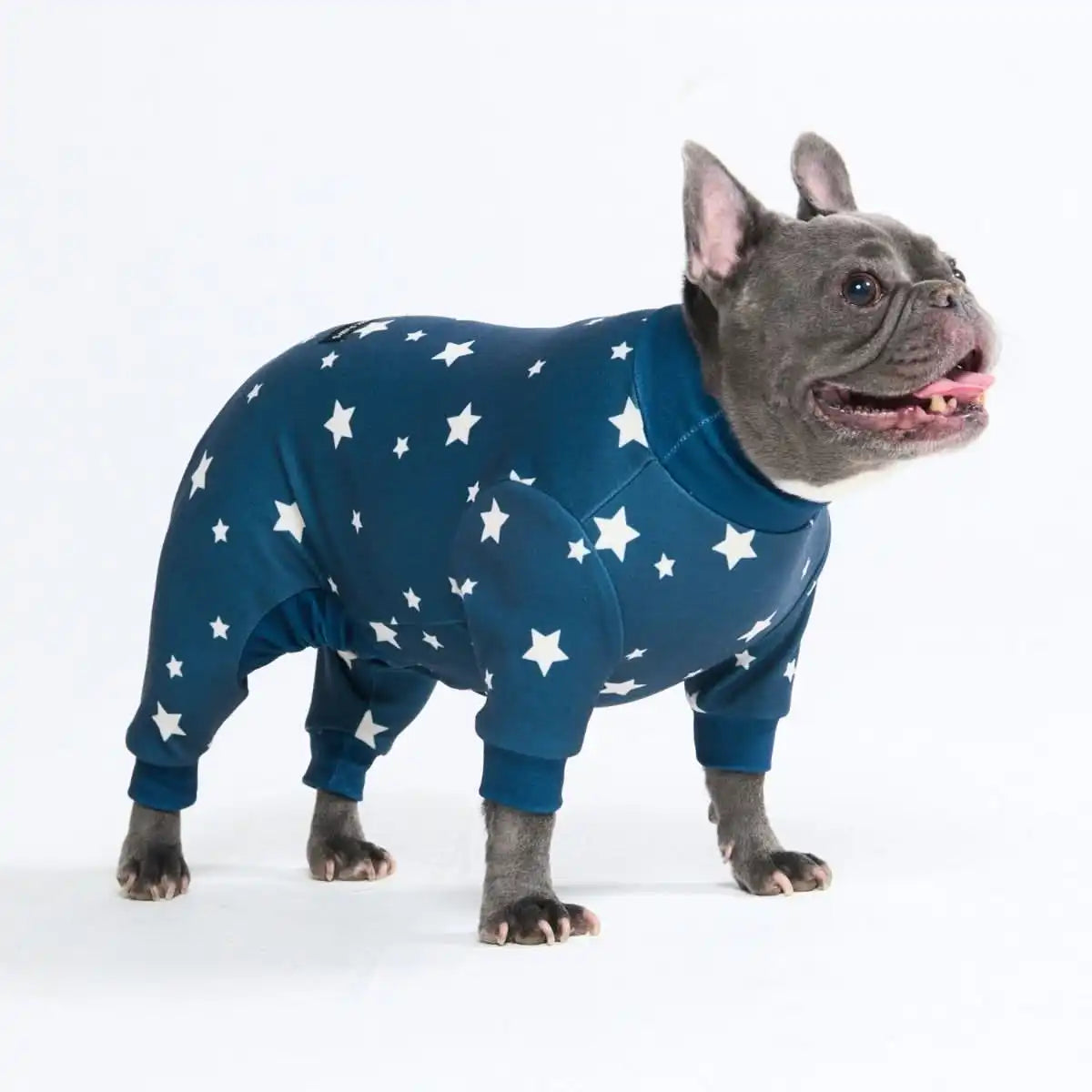 Dog Pajama - Stars
