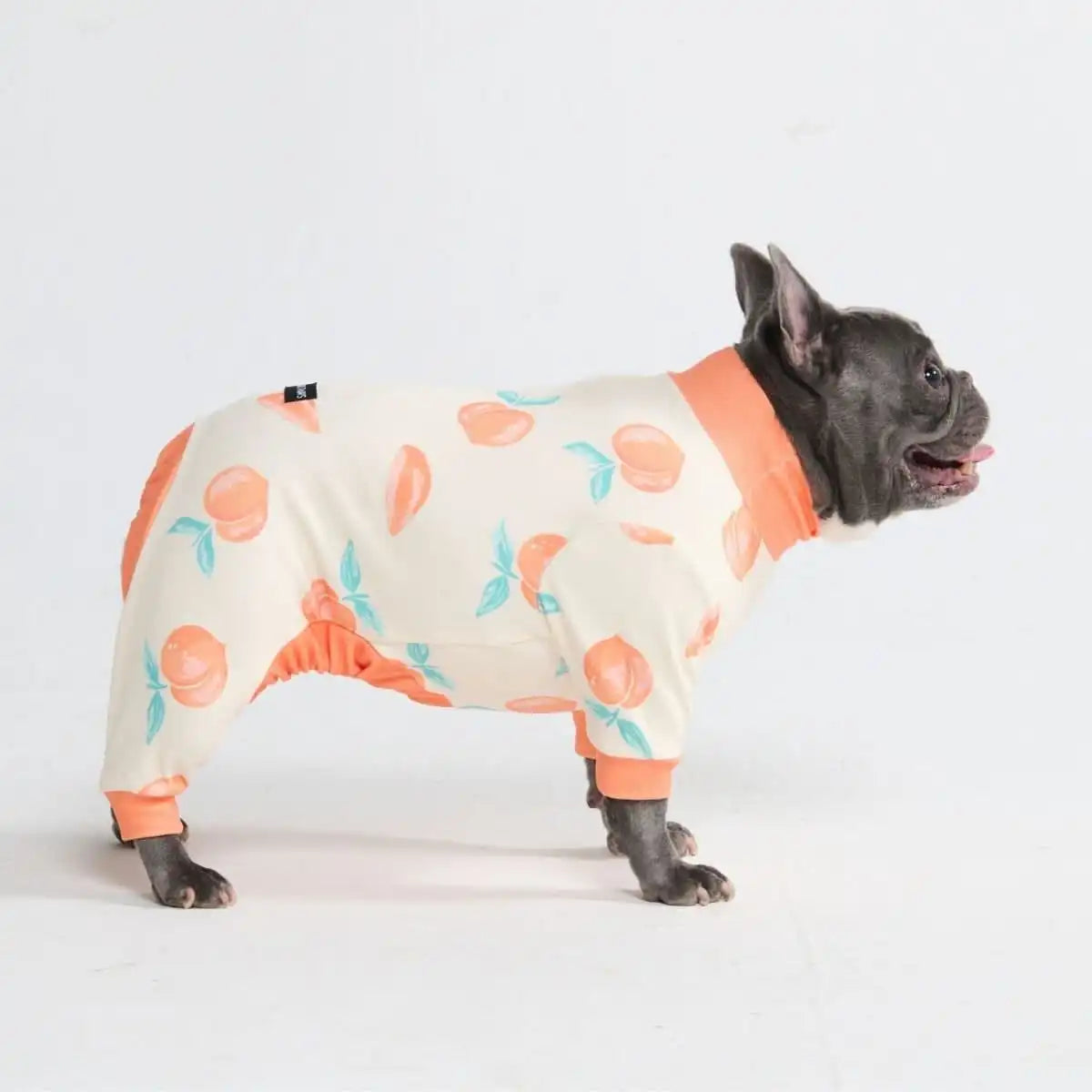 Dog Pajama - Peaches