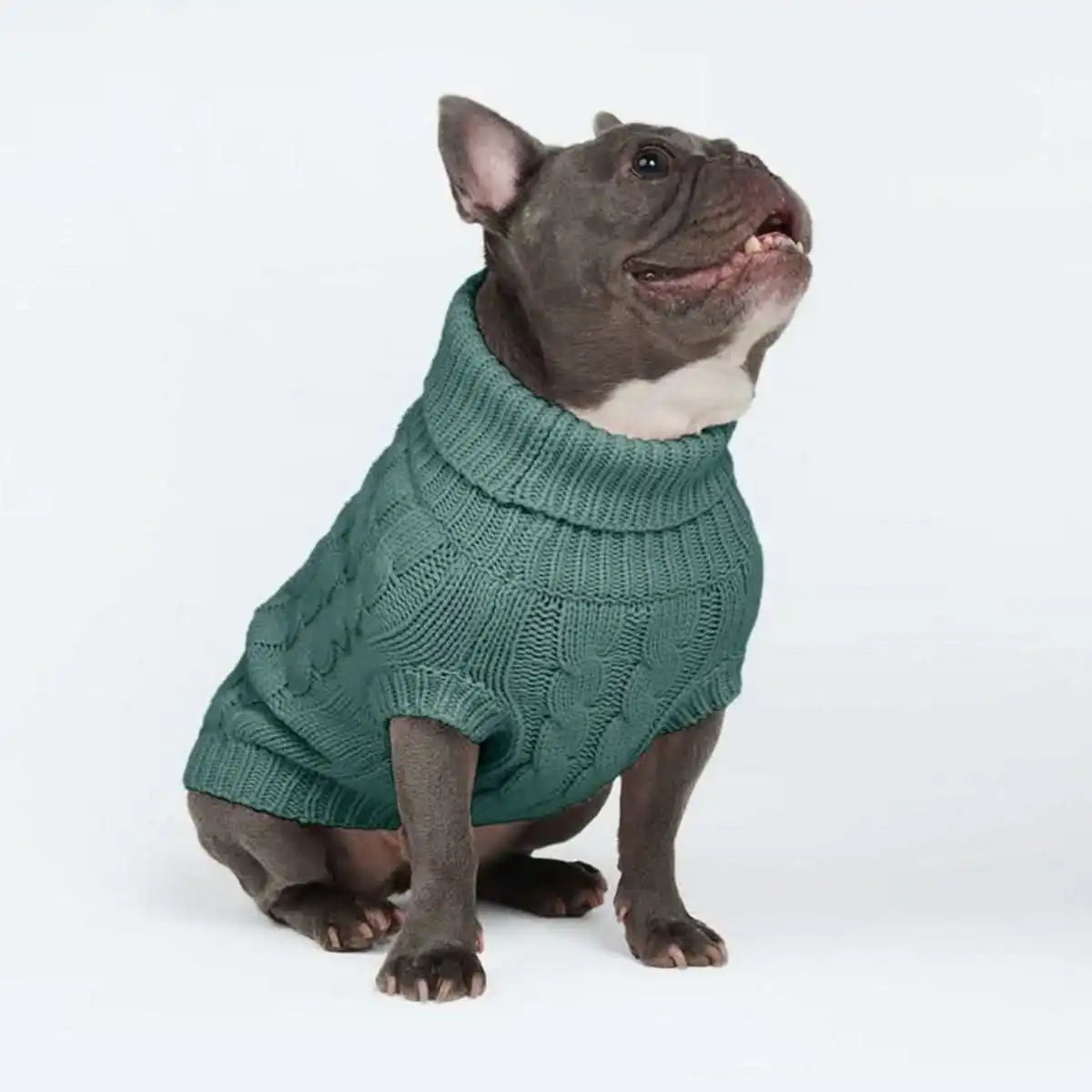 Cable Knit Dog Sweaters